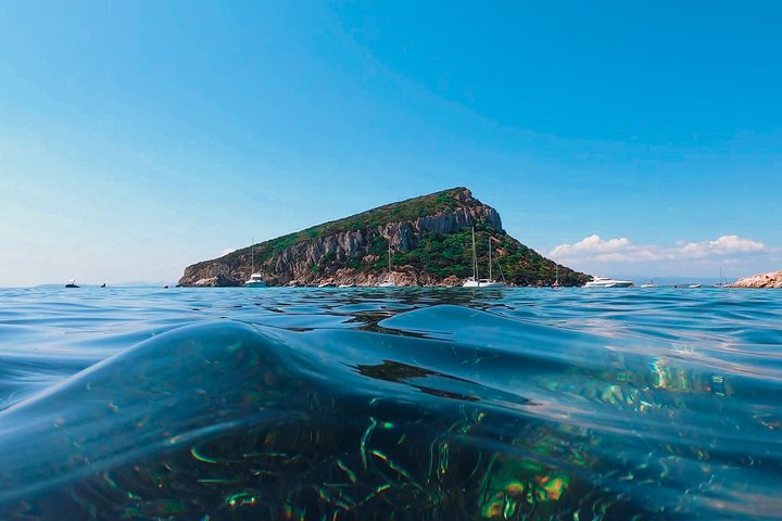 Kayak tour with aperitif and dolphins
