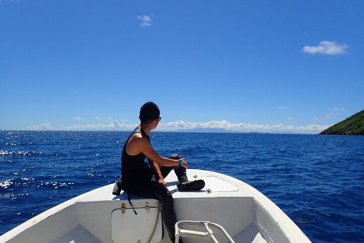Ultimate Encounter Snorkel with Sharks in Fiji