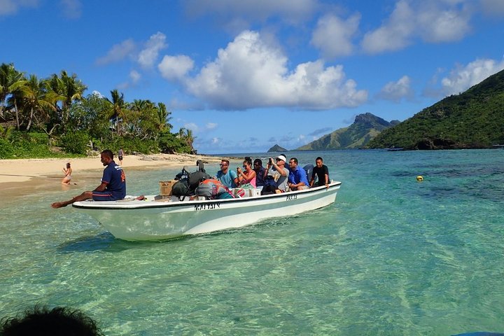 Ultimate Encounter Snorkel with Sharks in Fiji