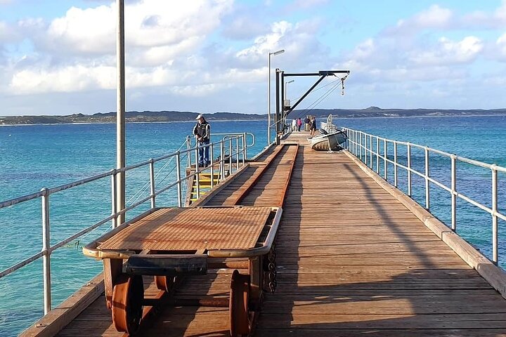 Kangaroo Island Small‑Group Scenic & Wildlife Day Tour