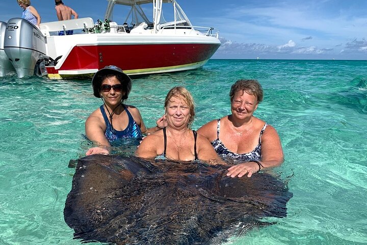 Private Half Day Stingray City, Snorkeling and Starfish Beach Tour