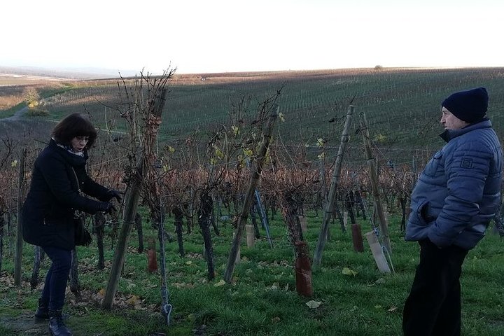 ICONICS Tour: 1/2 day on the Wine Route, visit of 2 Villages + Tasting.