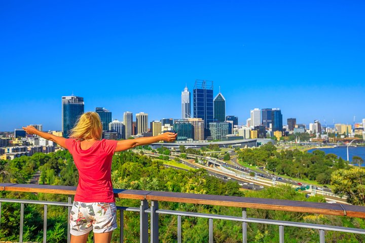 Full-Day Boutique Wine Tour with Pick Up and Lunch