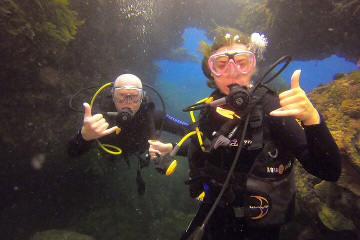 Rottnest Island Boat Dive Day Trip including Lunch
