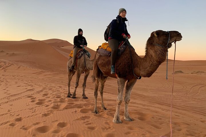 Luxury 2-Days Desert Trip from Fes to.:( fes or marakech)
