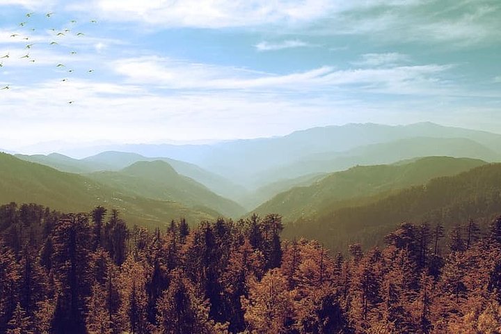 Walk Around Shimla And Visit Kufri