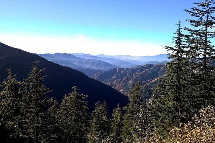 Walk Around Shimla And Visit Kufri