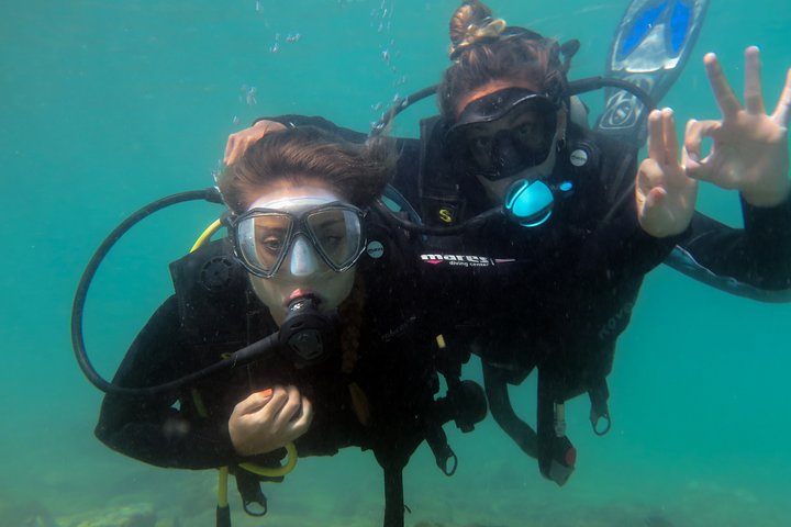 Private Program for Accredited Diver in Búzios