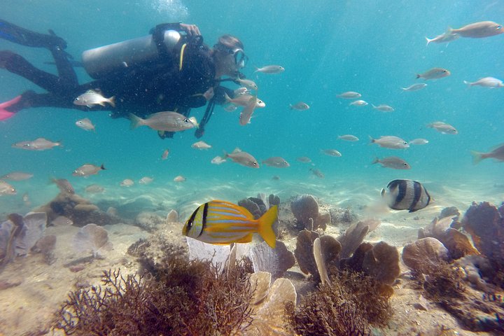 Private Program for Accredited Diver in Búzios