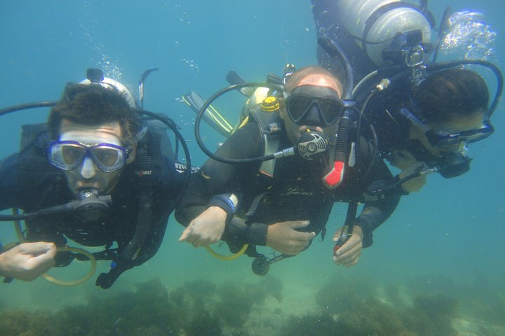 Private Program for Accredited Diver in Búzios