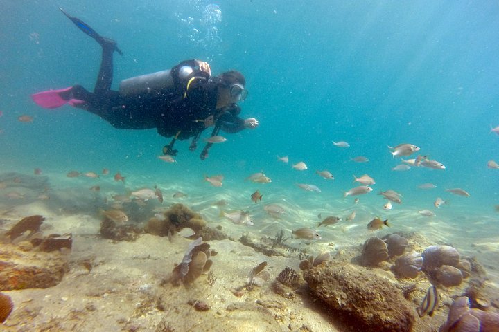 Private Program for Accredited Diver in Búzios