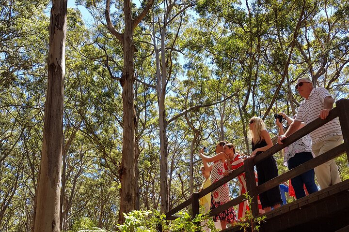 Margaret River Small-Group Curated Wine, Coffee, Lunch & Forest