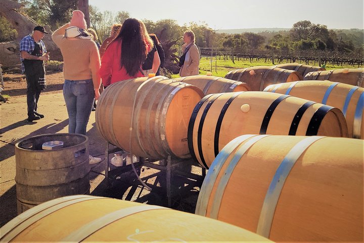 Margaret River Small-Group Curated Wine, Coffee, Lunch & Forest