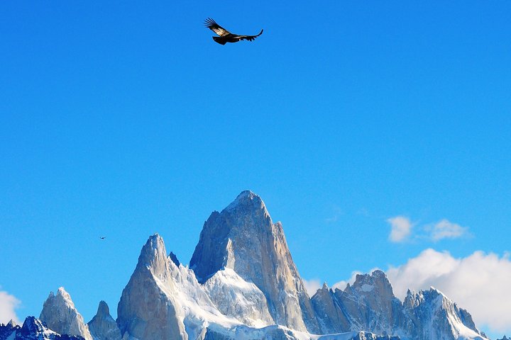 El Chalten Complete Experience Full Day Tour from El Calafate