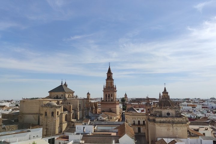 Private visit to Carmona and its main monuments