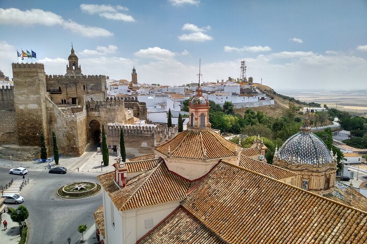 Private visit to Carmona and its main monuments
