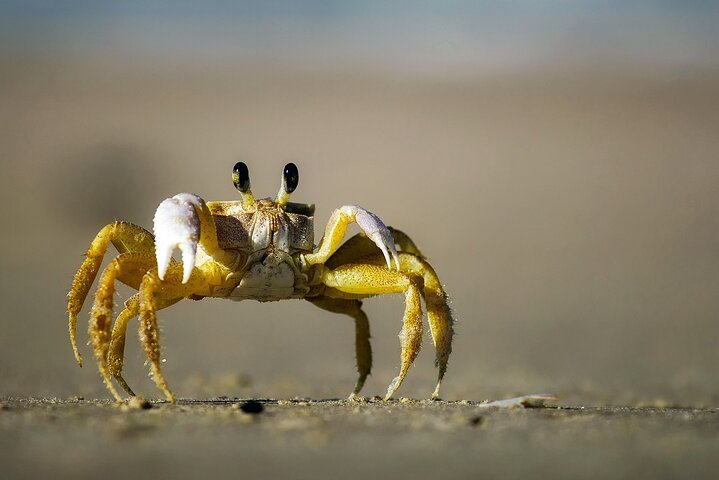 Bays of Huatulco Boat Tour