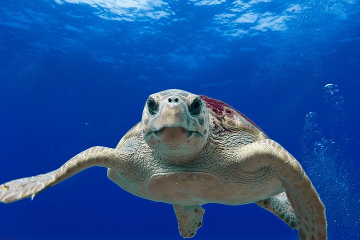 Bays of Huatulco Boat Tour