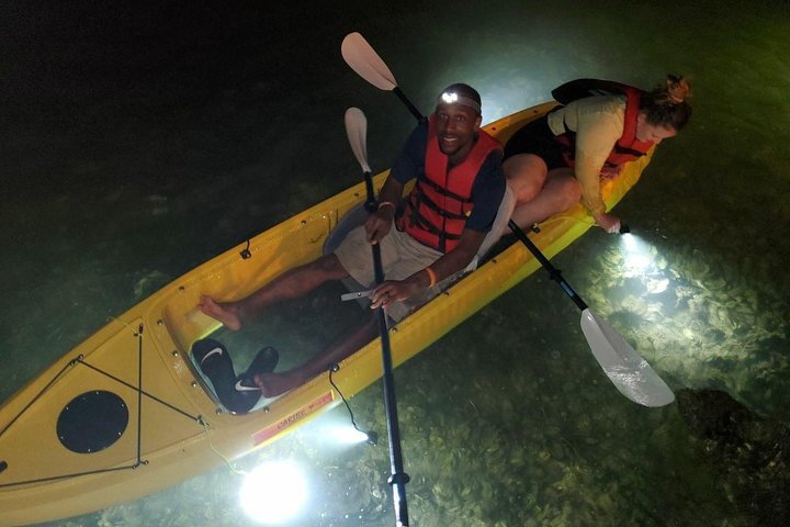 Sharkeys Glass Bottom Fish Feeding LED Night Tour St. Pete Beach