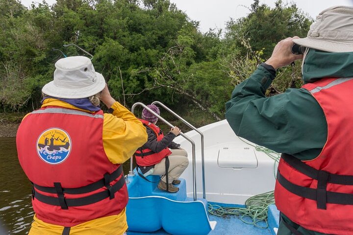 Lemuy Island Heritage & Nature Tour