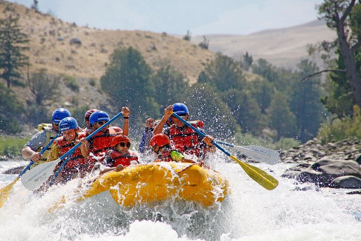 Montana Whitewater Half Day Raft Trip - Yellowstone River