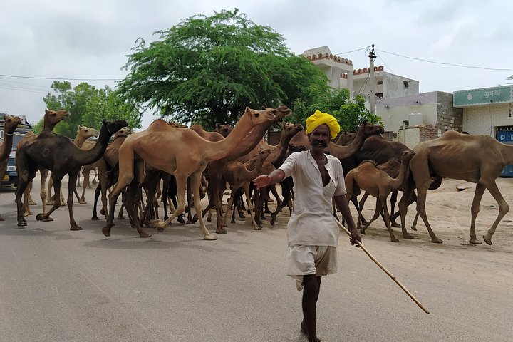 Private Jodhpur Blue City Tour with Hotel Pickup and Drop-off
