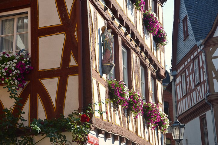 1,5 Hour Private Guided Walking Tour: Cathedral and Old Mainz