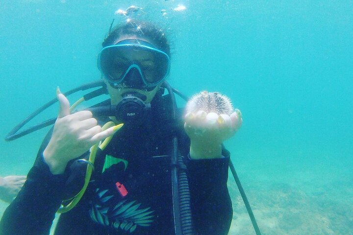 Beginner Scuba Diving Guided Tour - No Experience Required