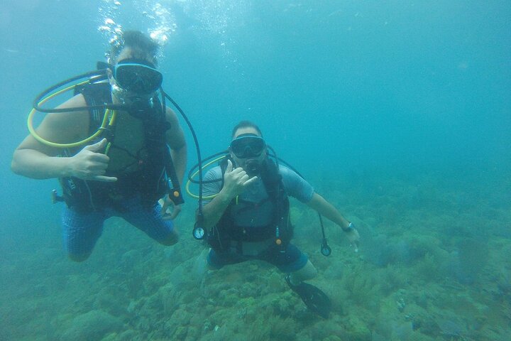 Beginner Scuba Diving Guided Tour - No Experience Required