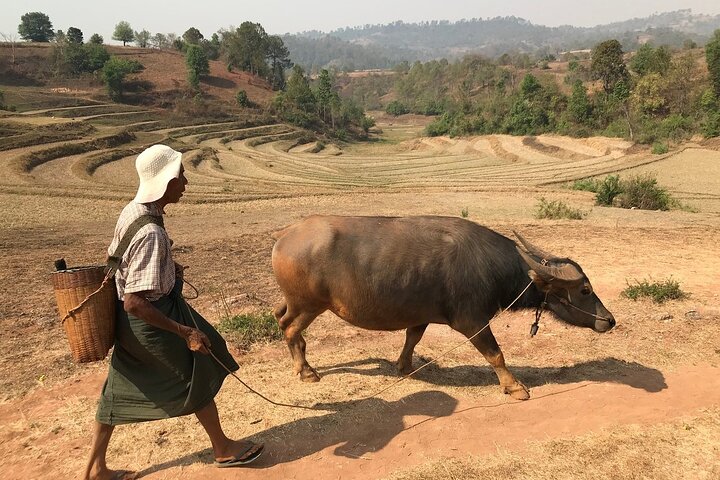 3Days Less Touristic Way Trekking from Kalaw To Inle