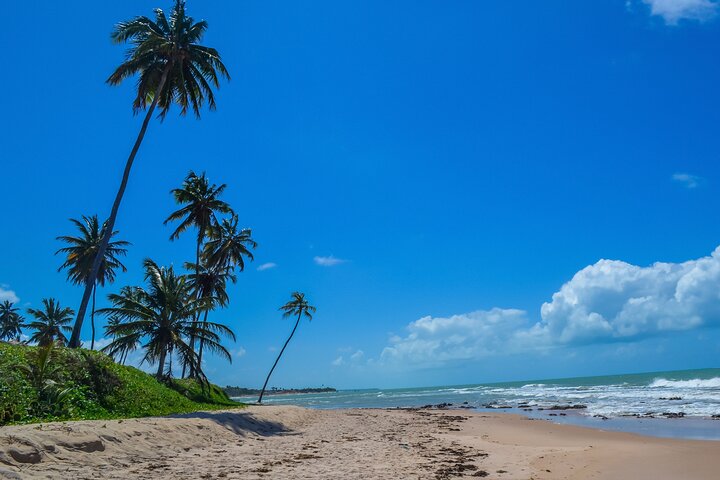 Guided tour to Praia Bela and its charms