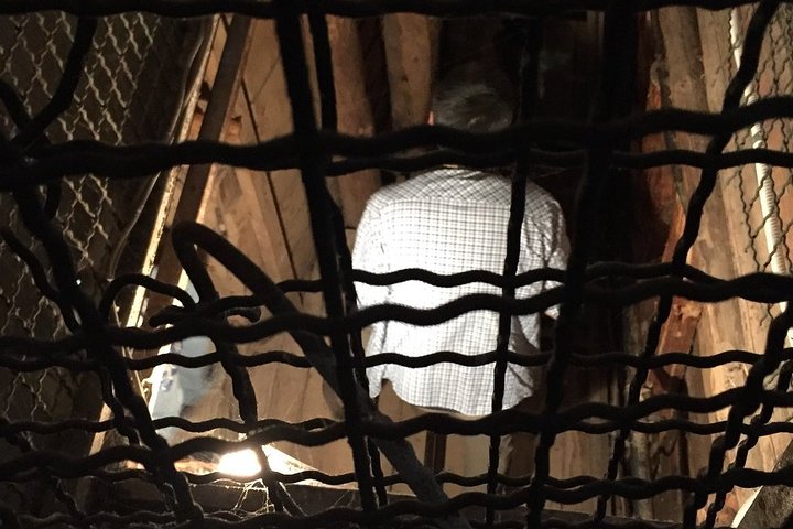 Tunnel of Hope Tour - Survival and Resilience