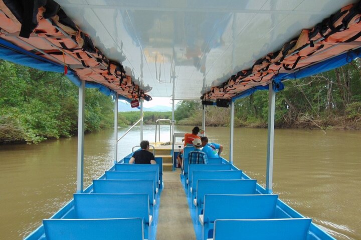 Jungle Crocodile Safari: Tarcoles River Crocodile Tour