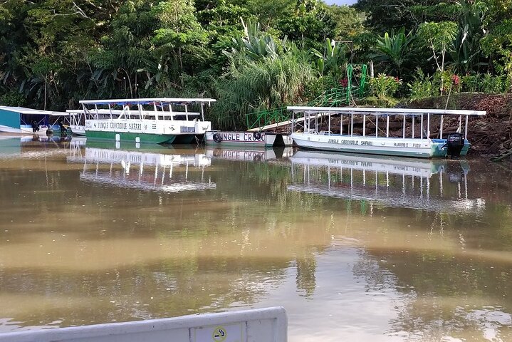 Jungle Crocodile Safari: Tarcoles River Crocodile Tour