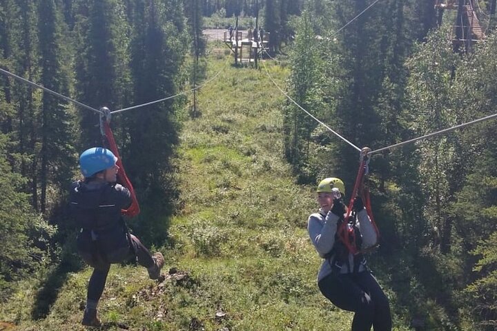 Denali Park Zipline Adventure