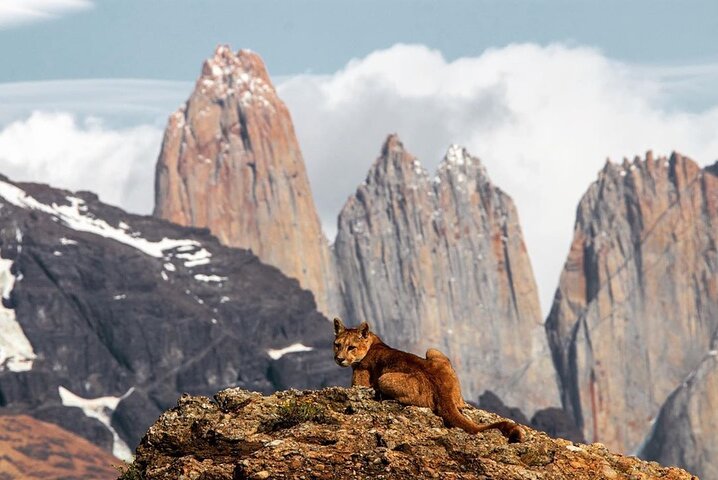 Full Day Torres del Paine Tour from Puerto Natales with Pickup