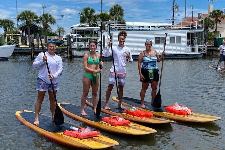 Daytona Beach Dolphin & Manatee Tour – Paddleboard or Kayak