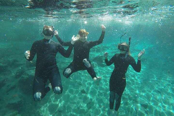 Guided Small Group Manatee Snorkeling Tour with In-Water Photographer