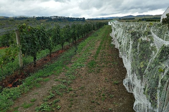 Martinborough in a Day - Guided wine tasting tour with lunch