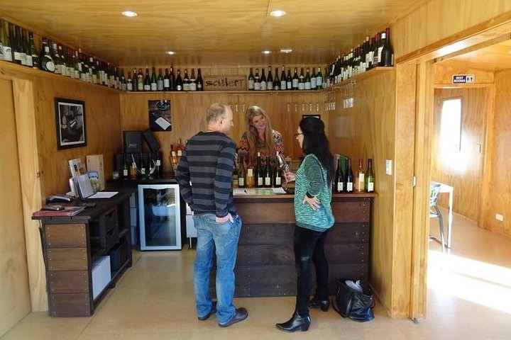 Martinborough in a Day - Guided wine tasting tour with lunch