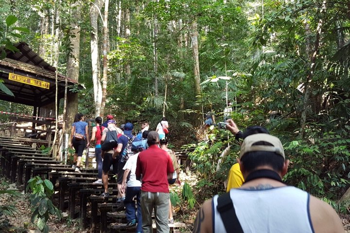 Kuala Besut to Taman Negara One Way SIC Transfers