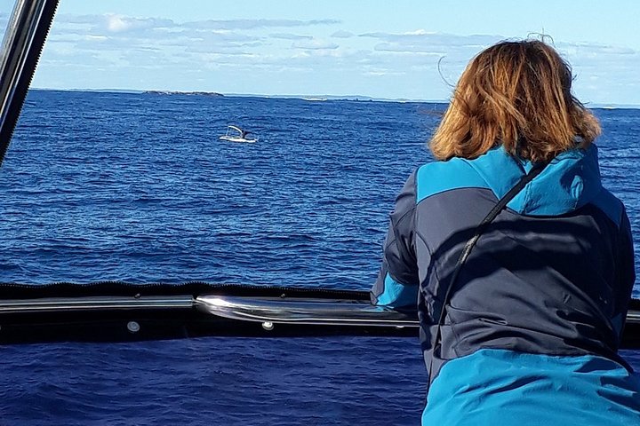 Whale Watching from Augusta in Western Australia