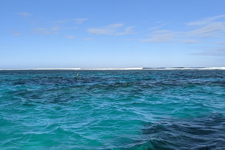Marine Eco Safari - Swim with Manta Rays