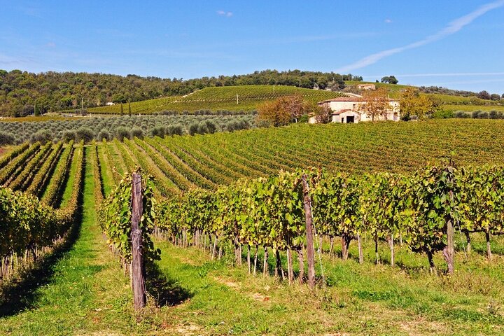 Bella Toscana - San Gimignano plus 2 Chianti Wineries and lunch