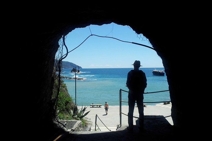 Cinque Terre Small Group Tour by Minivan from Lucca