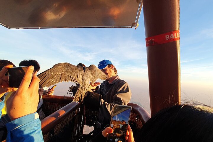 Hot Air Balloon Ride With Gourmet Breakfast and Falcon Show