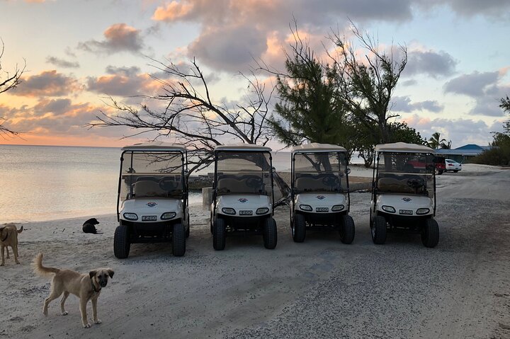 Drive GDT - Golf Cart Rentals