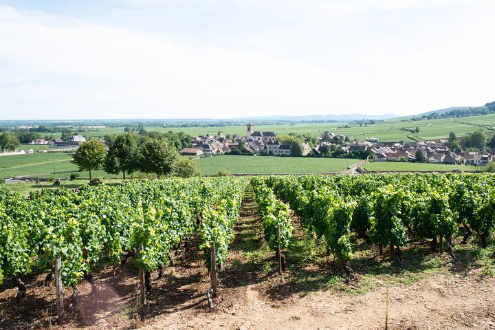 Private day tour in Burgundy : Côte de Beaune & Côte de Nuits