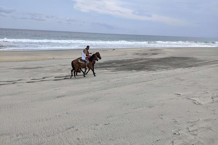 Beach Horseback Riding Adventure in Copalita, Huatulco