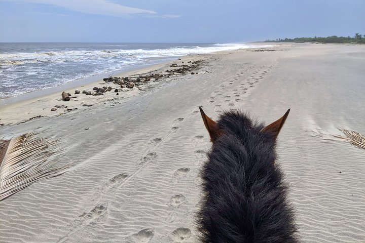 Beach Horseback Riding Adventure in Copalita, Huatulco
